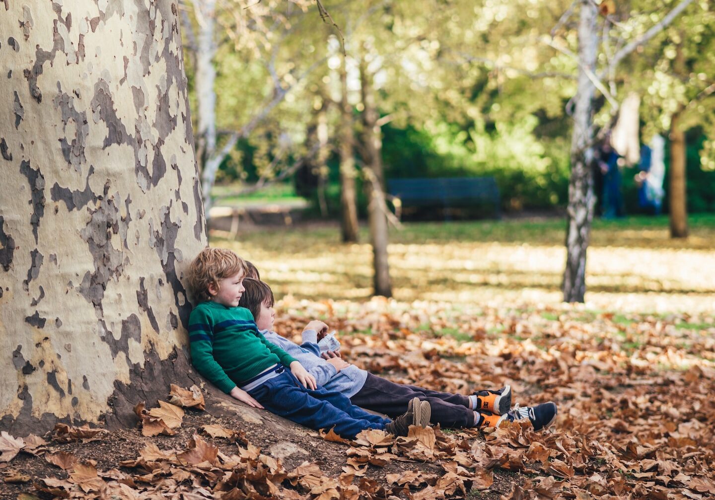 two children sitting on ground with dried leaves